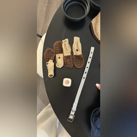 Puppy Supplies/Accessories Bundle - Picture 5 of 10